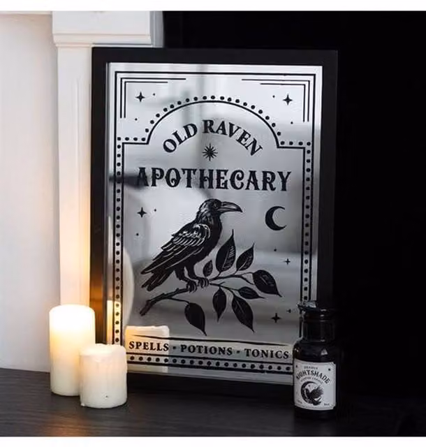 KDMD Old Raven Apothecary Mirrored Wall Art in Silver with Floral and Bird Design – 1