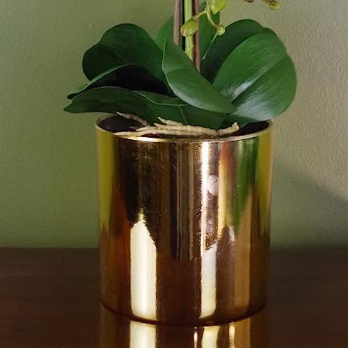 Botanik Large White and Gold Artificial Potted Orchid Plant, Height: 52 cm – 3