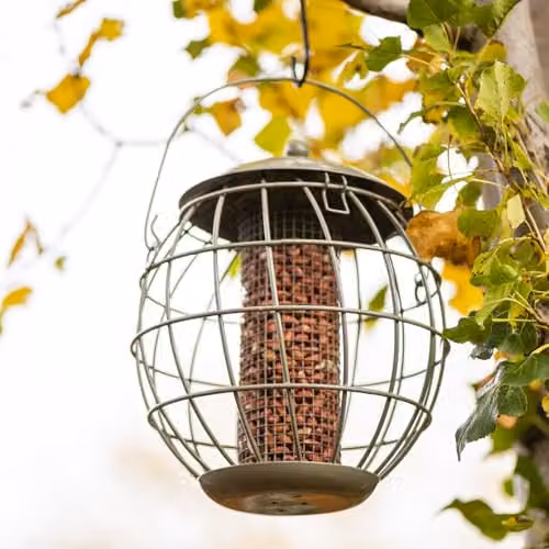 Happy Beaks Orbital Squirrel Proof Bird Feeder in Sage Green Steel Cage for Fat Balls, Peanuts, Seeds and Suet – 4