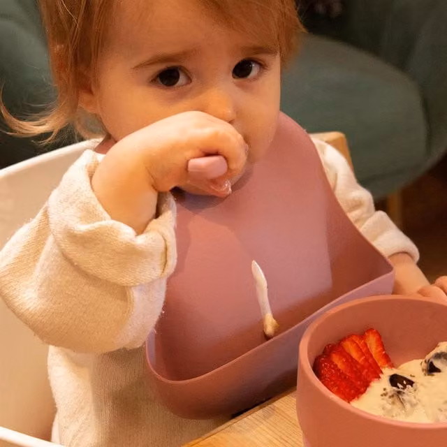 Tiny Dining Silicone Baby Crumb Catcher Bib in Pink