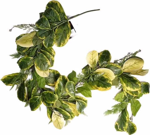 Artificial Hanging Golden Ficus Plant with Green Foliage