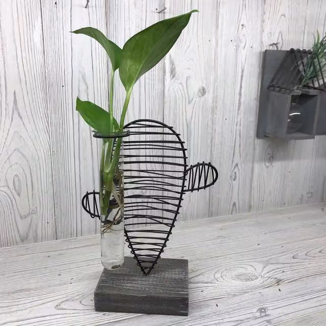 KDMD Hydroponic Home Decor Cactus and Lab Pot in Black with Metal, Glass and Wood Details – 1
