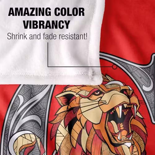 Warner Bros. Harry Potter Mosaic Gryffindor with Lion Super Soft Fleece Throw Blanket, Multicolour, W/D/H: 91.44 x 91.44 x 1.47 cm – 3