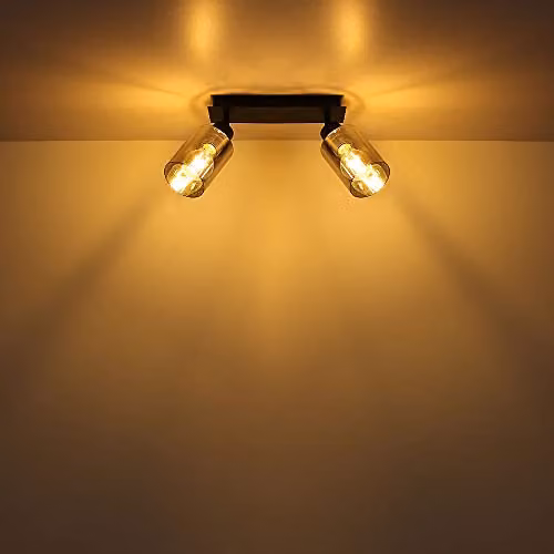 Netlighting Hadera Modern Adjustable Ceiling Light with Smoke Glass Shades in Black and Grey, 2x E27, W/D/H: 27 x 9 x 21.5 cm