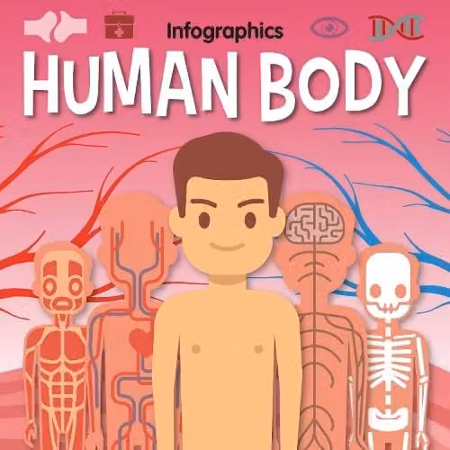 Human Body Infographics KS1 Version by BookLife Publishing, Multicolour