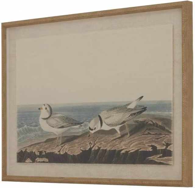 Hill Interiors Flora & Fauna Collection Plovers Beaded Linen Framed Wall Art in Brown and Multicolour – 1