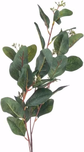 Lemon Pavilion Furniture and Decor Green Summer Seeded Eucalyptus Artificial Plant, W25 x D13 x H80 cm – 1