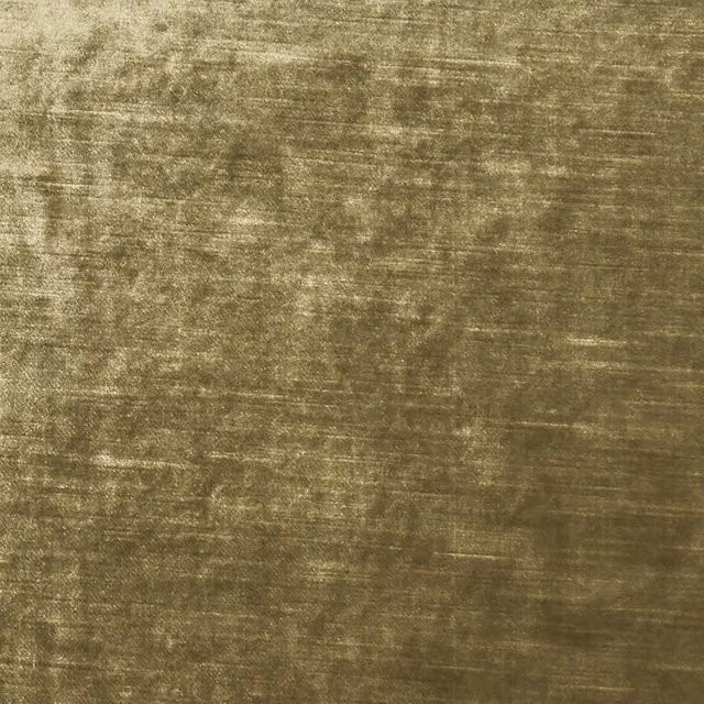 Clarke & Clarke Allure Plain Gold Velvet Fabric