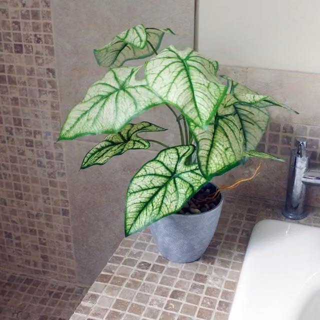 Artificial Taro House Plant with Green Leaves in a Plastic Decorative Planter