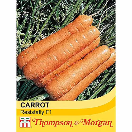 Thompson & Morgan Resistafly F1 Hybrid Carrot Seeds, 350 Seeds – 2