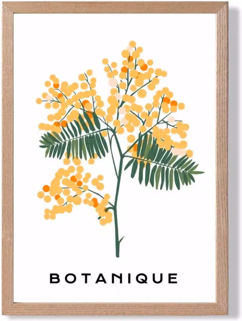 ARTZE Yellow Mimosa Plant Spring Floral Framed Print with Oak Frame, A3