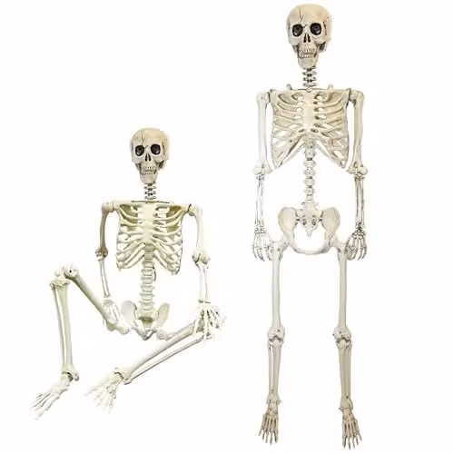 Shatchi Life Size Poseable Human Skeleton Halloween Decoration, White, Height: 165 cm – 1