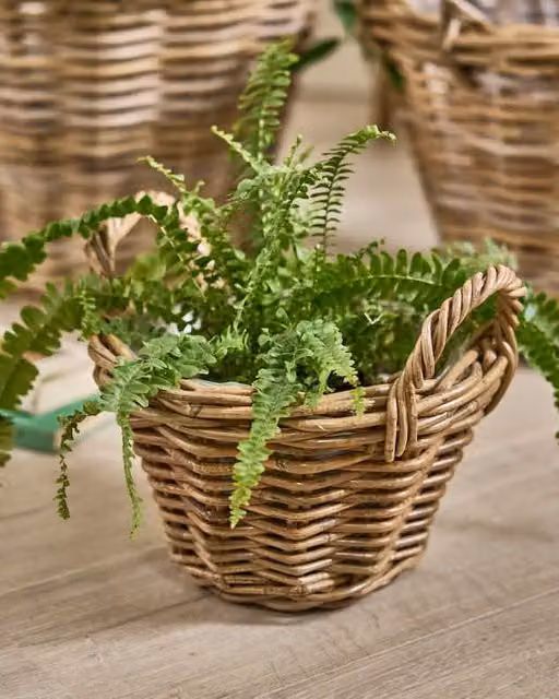 Dibor Traditional Extra Small Lined Wicker Planter Basket with Handles in Grey and Brown – 1