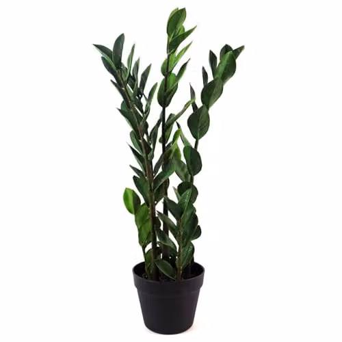 Leaf Design UK Realistic Large Artificial Zanzibar Gem Foliage Plant in Green Pot, Height: 75 cm