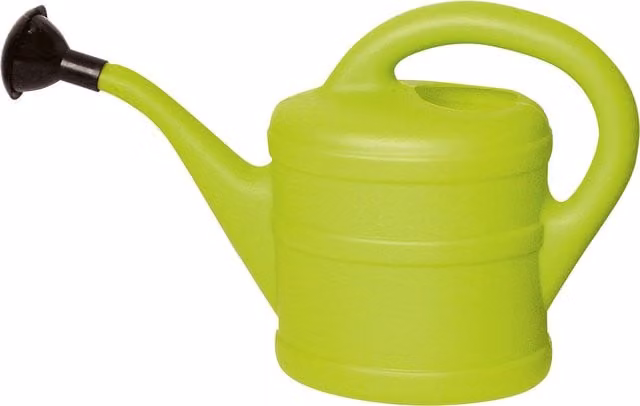 Green Wash Rose Plastic Watering Can in Green and Black