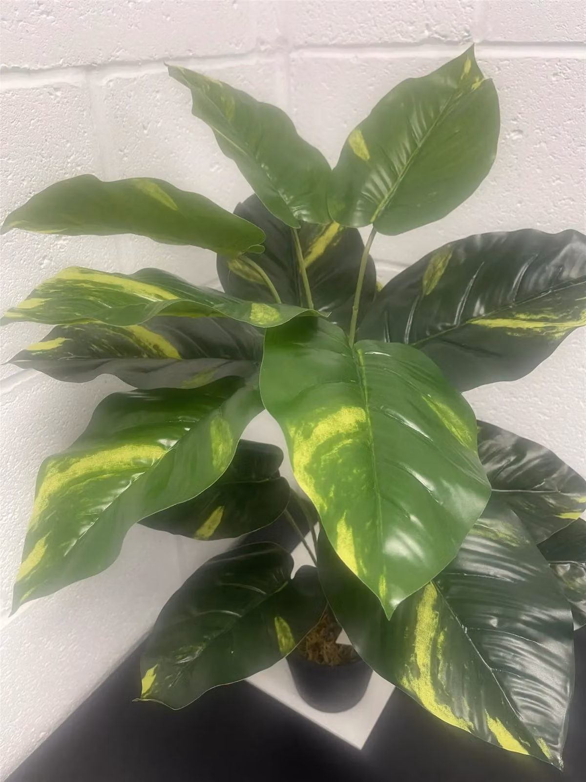 Leaf Design UK Realistic Large Artificial Devils Ivy Potted Plant in Green, Height: 60 cm – 6