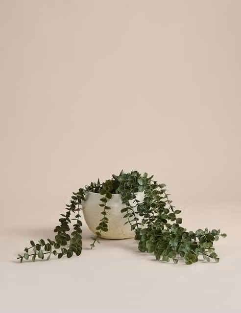 M&S Artificial String of Hearts Succulent in a Green Concrete Pot