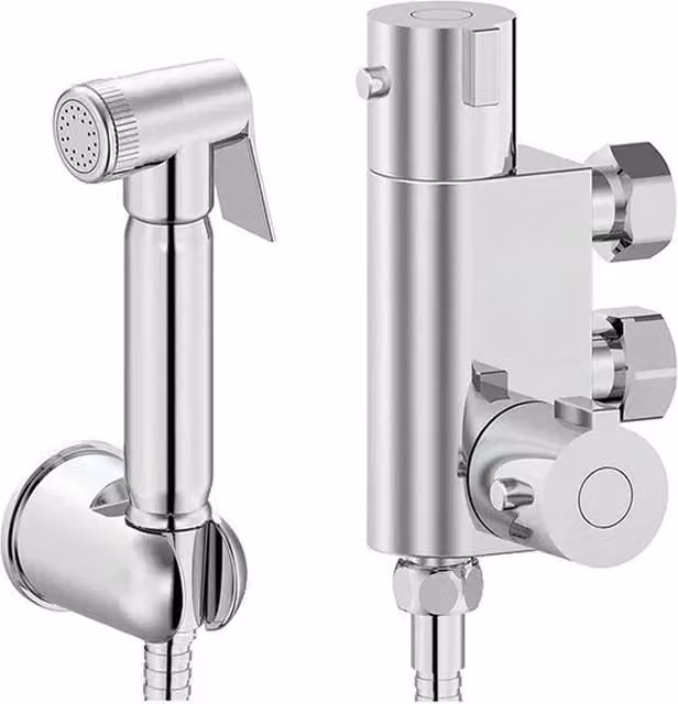 FLAVORA Chrome Thermostatic Bidet Spray Shower Kit in Metallic Silver
