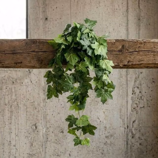 Botanik Green Artificial Trailing Grape Ivy Hanging Plant, 70 cm