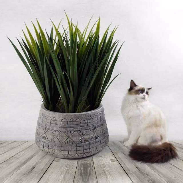 Gliese Large Composite Embossed Leaf Planter in Grey, Round Tabletop Design, Diameter: 37 cm, Height: 37 cm