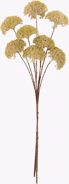 Perch & Parrow Faux Pom Pom Stems in White, Set of 3