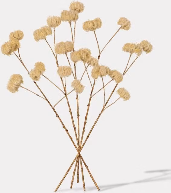 Gallery Direct Set of 5 Organic Artificial Dried Clematis Stems in Beige