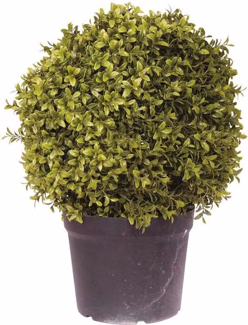 Bloom Artificial Large Round Boxwood Ball Topiary Green Potted Plant, H: 50 cm, Diameter: 40 cm