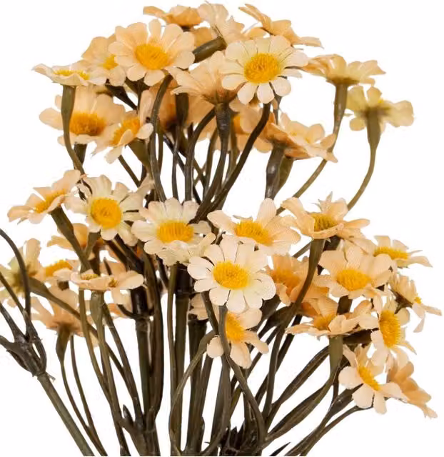 Hill Interiors Daisy Artificial Flower in Beige and White – 1