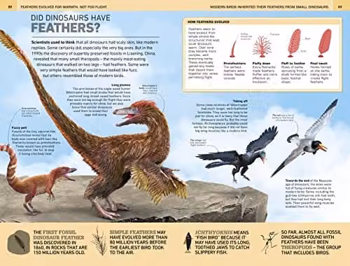 DK 1,000 Amazing Dinosaur Facts Multicolour Paper Book – 4