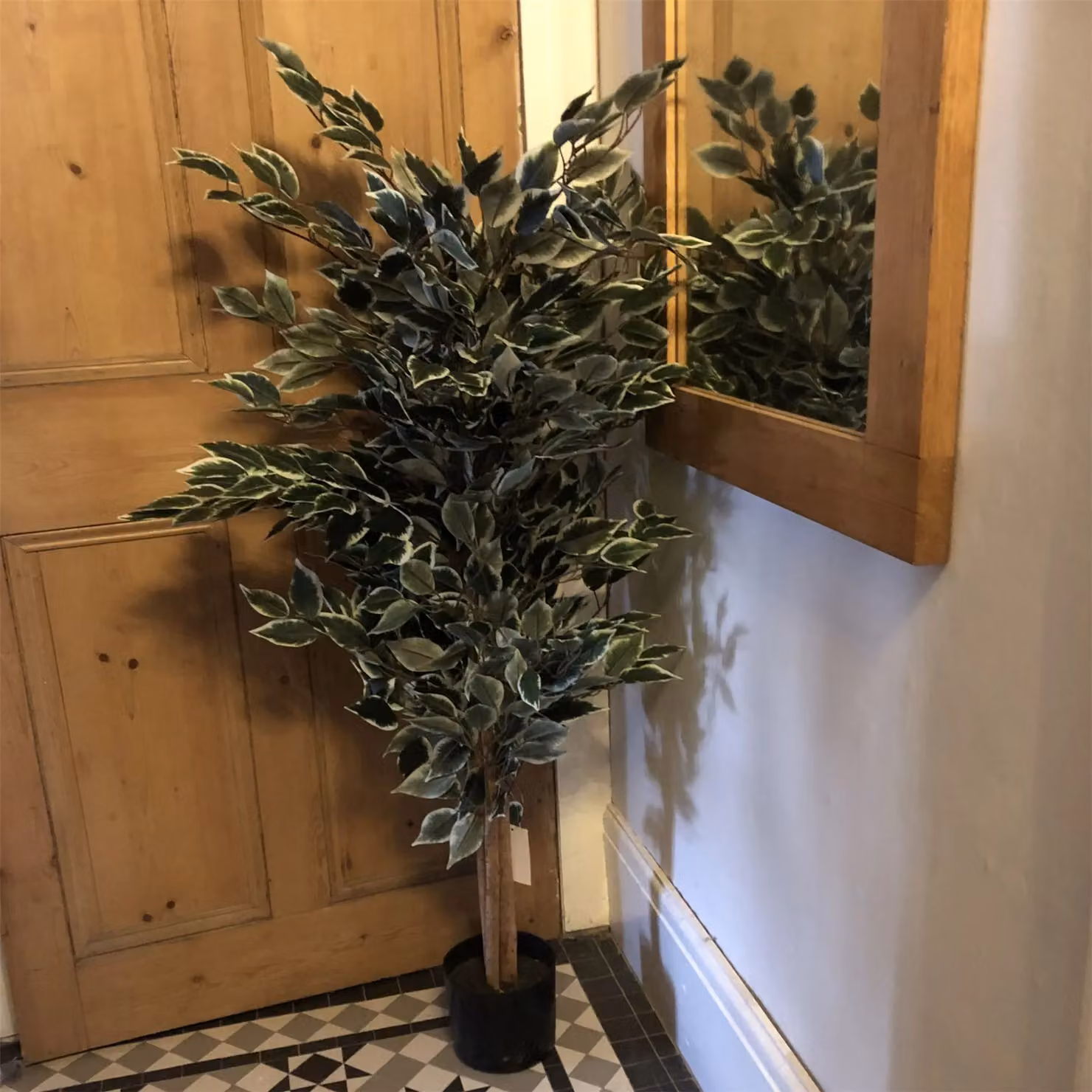 Leaf Design UK Tall Variegated Ficus Tree in White and Green, Height: 130 cm – 5