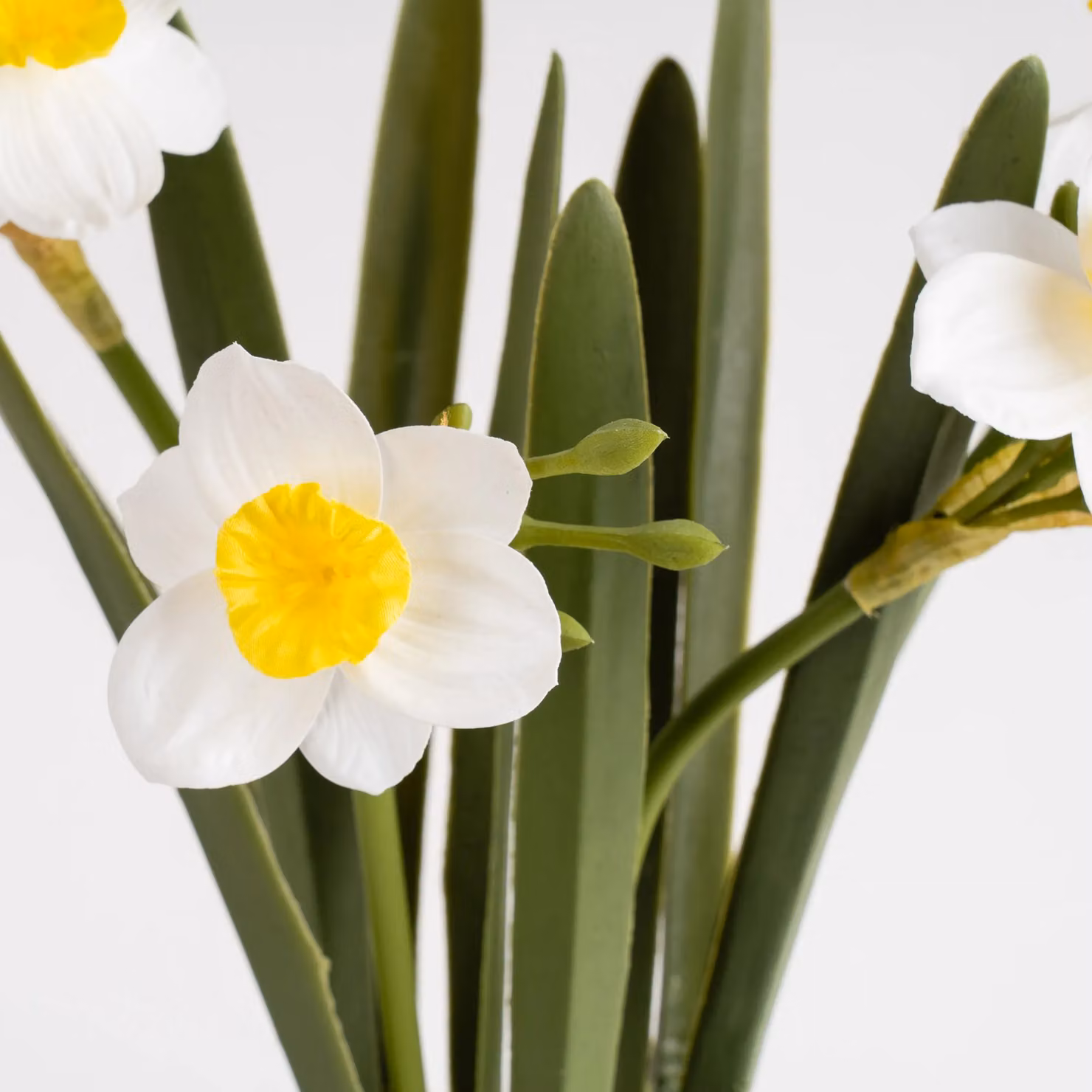 Scottish Everlastings Ltd Daffodil Spray in Green Ceramic Pot, Height: 42 cm – 2