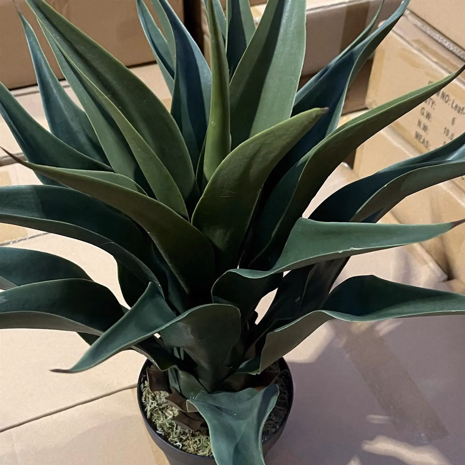 Leaf Design UK Green Artificial Deluxe Yucca Tropical Potted Plant, Height: 60 cm – 4