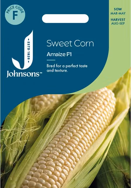 Johnsons Seeds Sweet Corn Amaize Yellow Vegetable Seeds