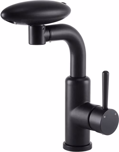 Darphe Matt Black Stainless Steel Kitchen Mixer Tap with Pull-Out Sprayer and Swivel Spout