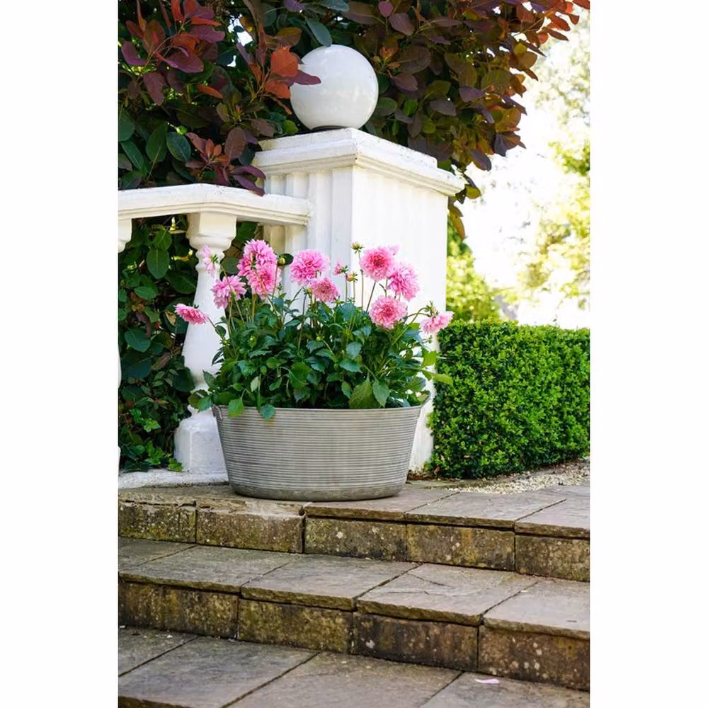 Lemon Pavilion Furniture and Decor Matlock Oval Metal Planter, Grey, W: 58.5 cm, D: 58.5 cm, H: 34 cm – 3