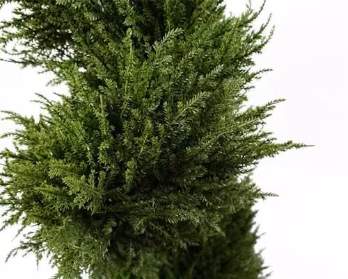 LeafUK Botanik 120cm Spiral Cypress Artificial Tree, Green, UV Resistant for Outdoor Use – 2