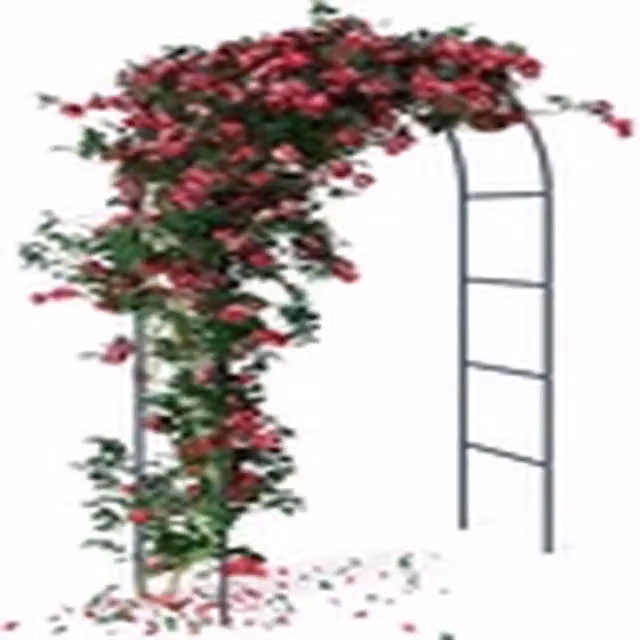 EONLION Metal Garden Arch Arbor for Climbing Plants and Wedding Decor, Green, H 240 cm x W 140 cm