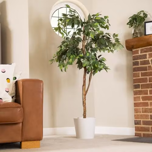 Garden Gear Artificial Ficus Tree in Green with Natural Wood Trunk and Silk Leaves, Height: 150 cm – 2