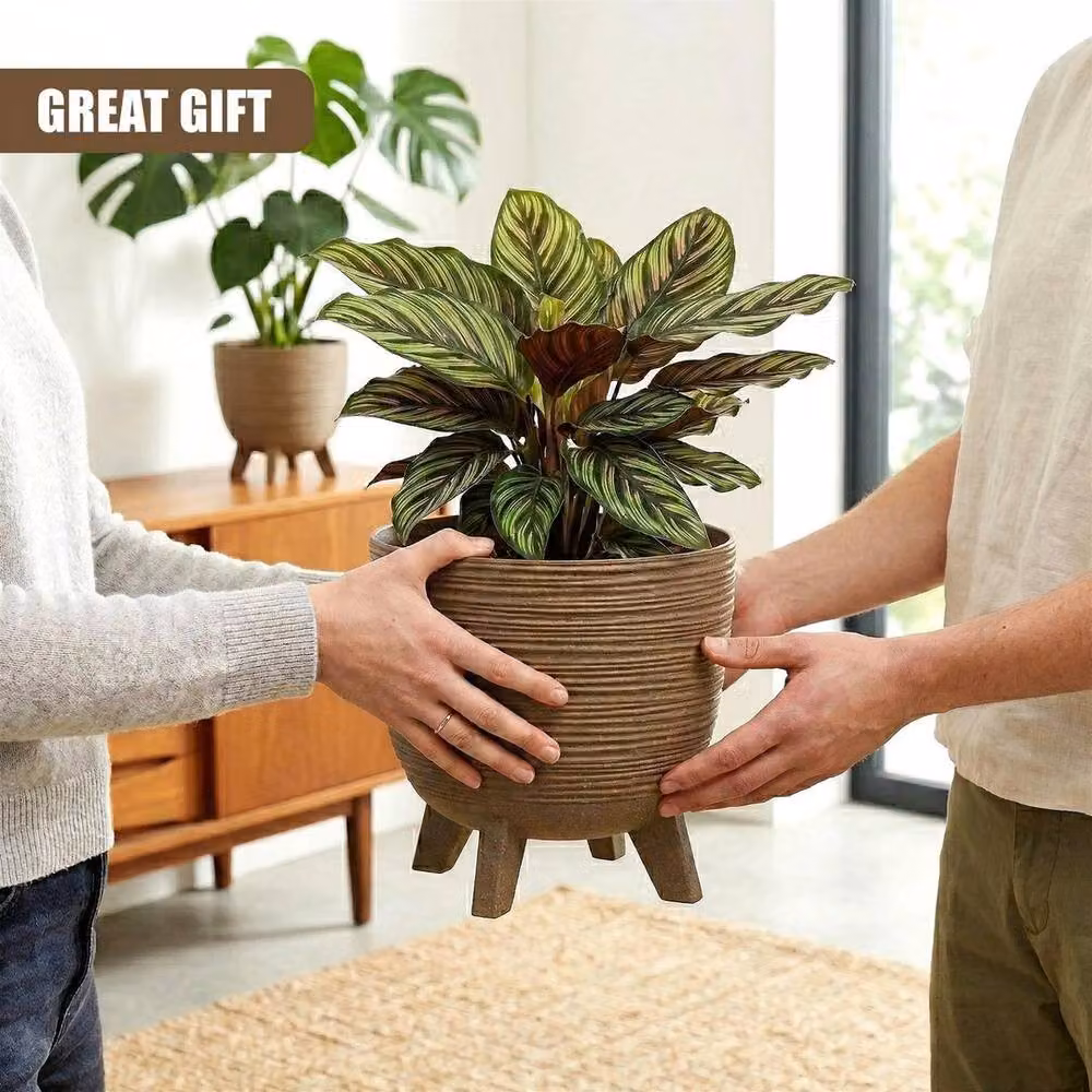 KORVIXA Brown Round Plant Pot with Legs for Indoor and Outdoor Use, Diameter: 29 cm – 3