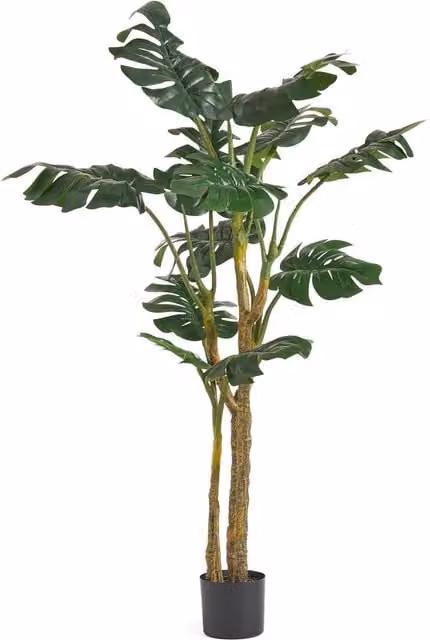 Botanik Green Artificial Monstera Plant, Height: 150 cm