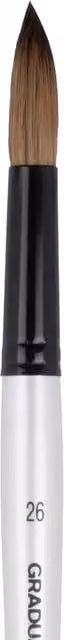 Daler-Rowney Graduate Pony and Synthetic Round Wash Brush, Size 26, Short Handle, Multicolour