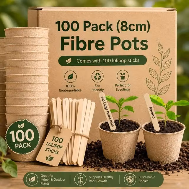 Green Thumbz 100 Pack Biodegradable Seedling Pots for Herbs and Flowers, Brown, 8cm