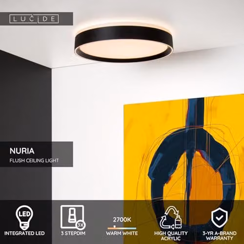 Lucide Nuria Dimmable LED Flush Ceiling Light, Black, Diameter: 30 cm – 2