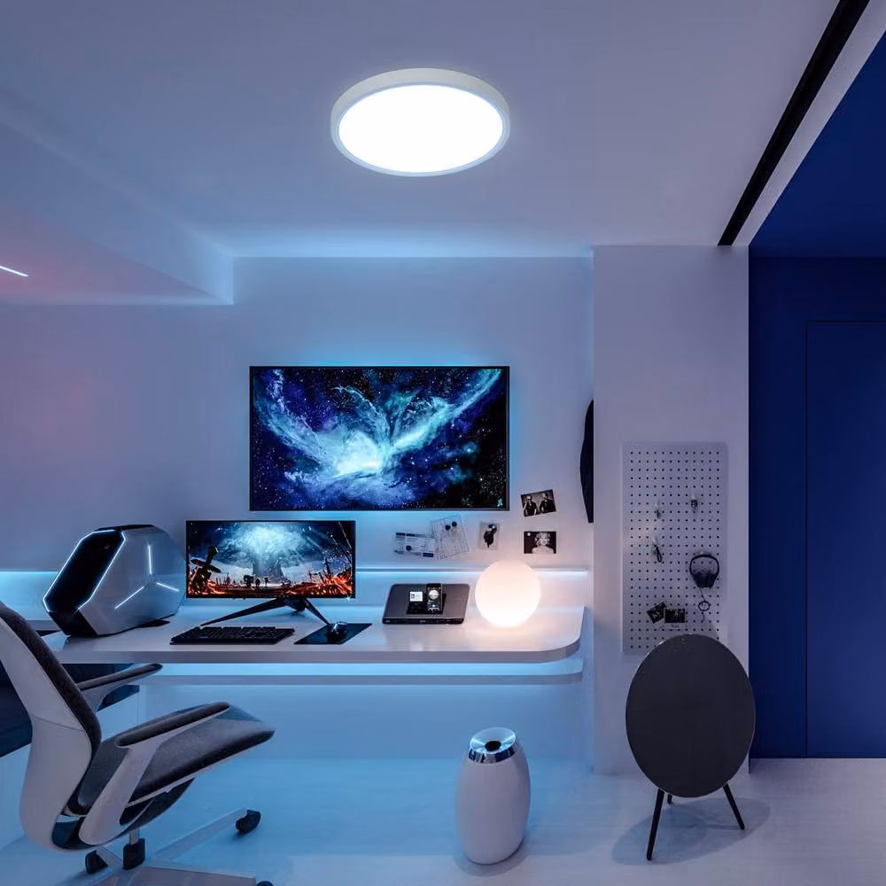 Pheashine White Round RGB LED Ceiling Light, 24W Dimmable with Remote, Diameter: 30 cm, Height: 2.5 cm – 3