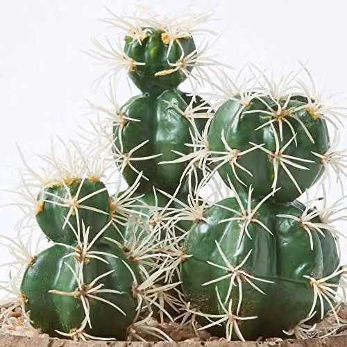 Homescapes Echinocactus Artificial Succulent in a Round Wooden Planter, Green and White, Height: 15 cm – 2