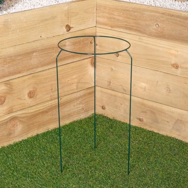 Samuel Alexander Tom Chambers Urban Metal Herbaceous Garden Plant Support Ring, Dark Green, W: 30 cm, H: 50 cm – 1