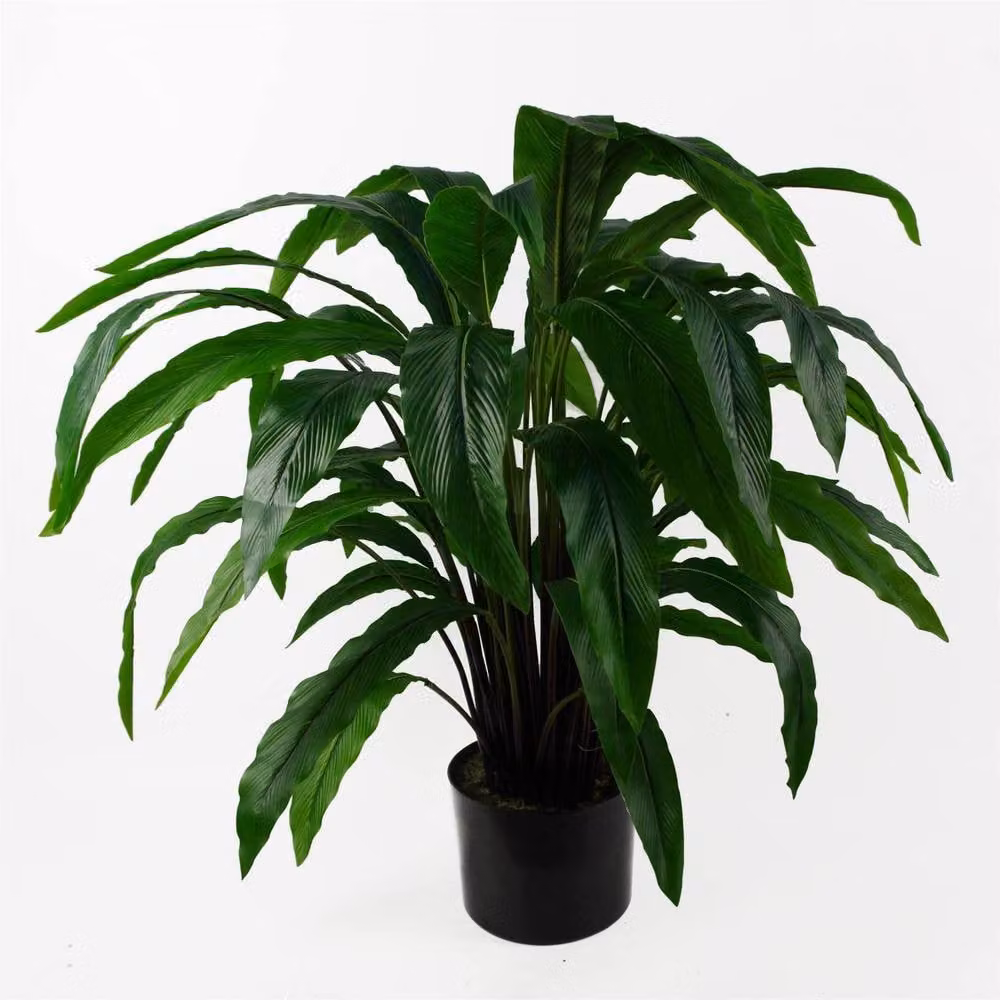 Leaf Design UK 60cm Potted Artificial Green Calathea Plant – 3