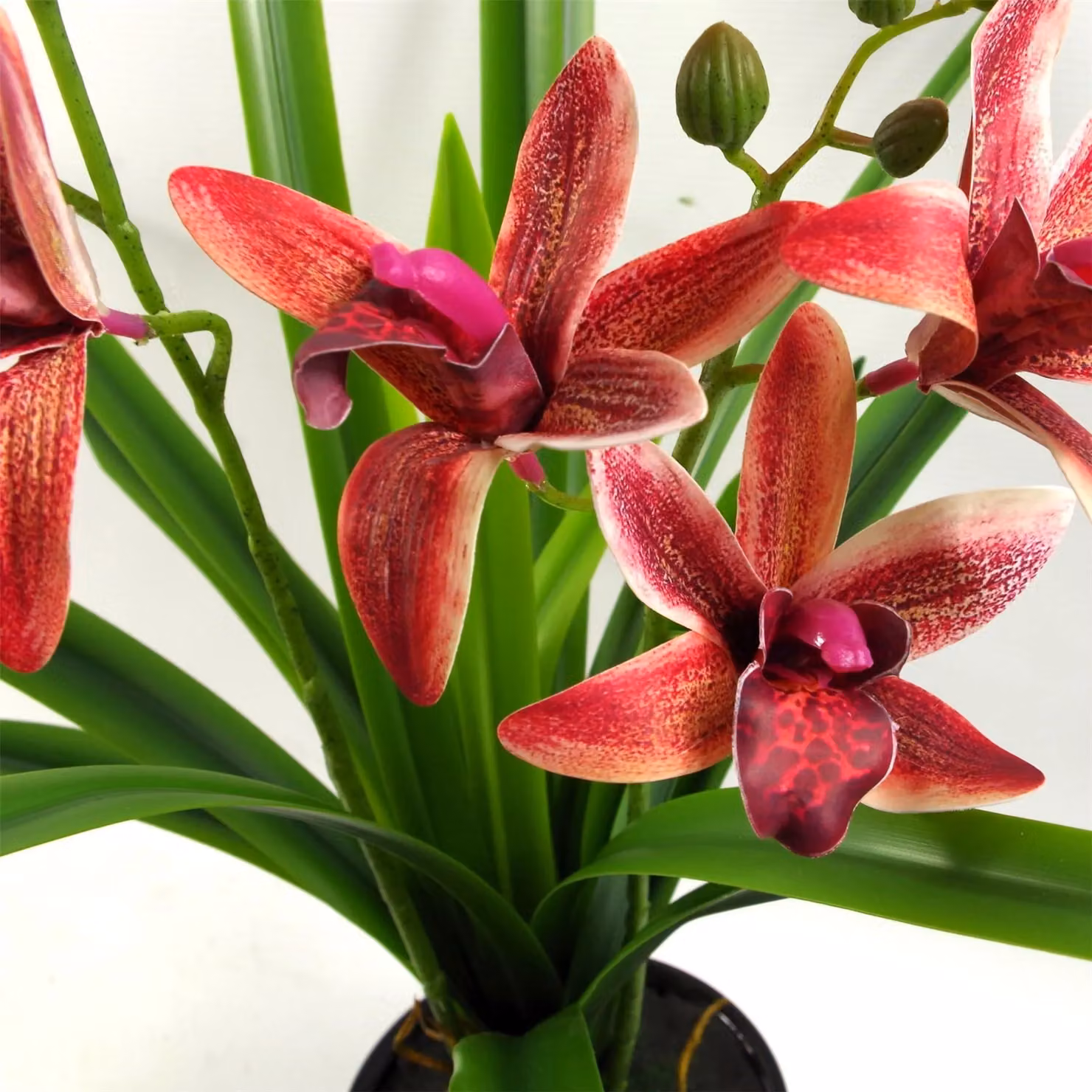 Leaf Dark Pink Artificial Orchid in Ceramic Planter, Height: 50 cm – 5