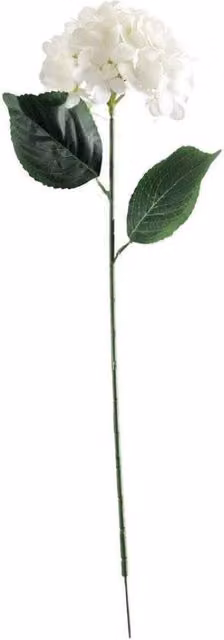 KDMD Essential White Hydrangea 4 Pack