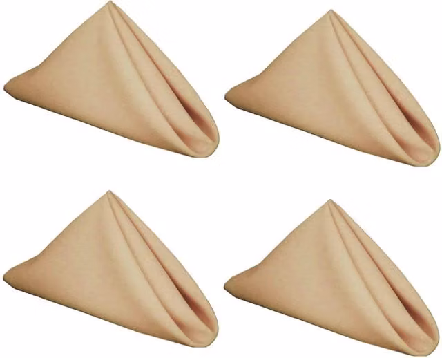 Gr8 Home Set of 4 Plain Polyester Square Napkins in Light Beige